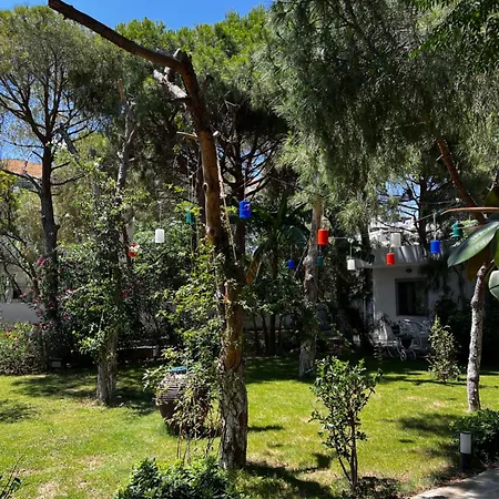 Otel Byakkan Bodrum