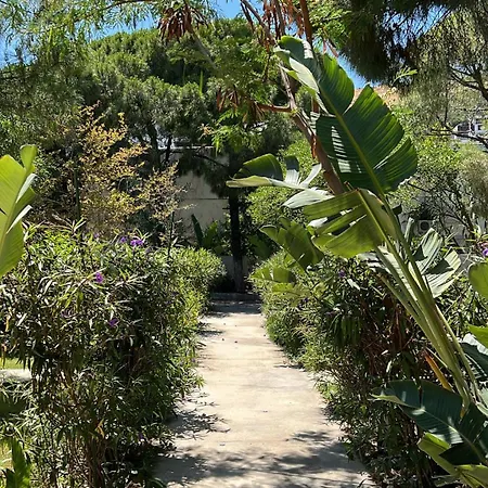 Byakkan 博德鲁姆