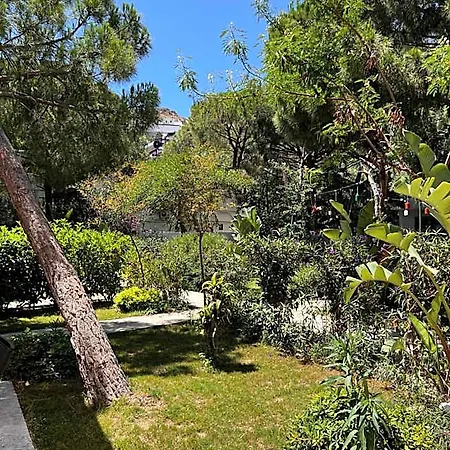 Byakkan Bodrum