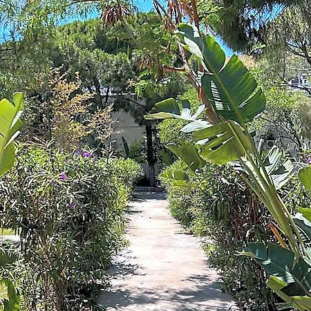 Byakkan * Bodrum