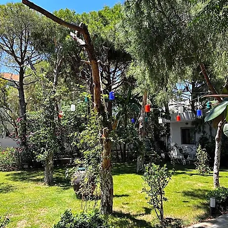 Byakkan 호텔 Bodrum